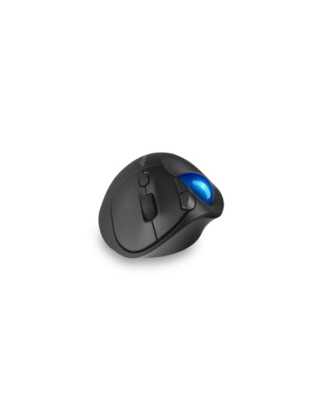 RATON INALAMBRICO TRACKBALL TB450 PROFIT ERGO NEGRO-AZUL KENSINGTON K72194WW