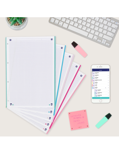 RECAMBIO 100+20 HOJAS PAQUETE A4 5X5 5 COLORES...