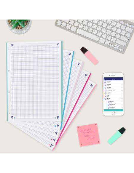 RECAMBIO 100+20 HOJAS PAQUETE A4 5X5 5 COLORES DE BANDA PASTEL OXFORD 400146851