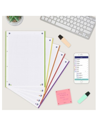 RECAMBIO A4 100+20 HOJAS 90GRS 5X5 BANDA 5...