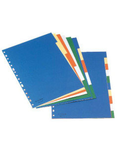SEPARADOR DE POLIPROPILENO CON 10 POSICIONES FORMATO A4 COLORES VIVOS ESSELTE 11710