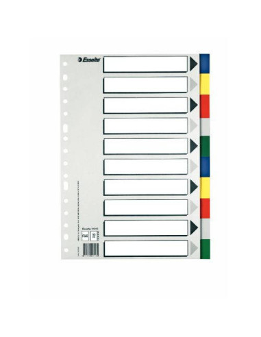 SEPARADOR DE POLIPROPILENO CON 10 POSICIONES FORMATO FOLIO COLORES VIVOS ESSELTE 11610