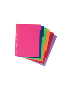 JUEGO SEPARADORES POLIPROPILENO EXTRA FUERTE 6 POSICIONES CARCHIVO 49050699 2