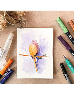 SET WATERCOLORING NATURE TOMBOW WCS-NAT 2