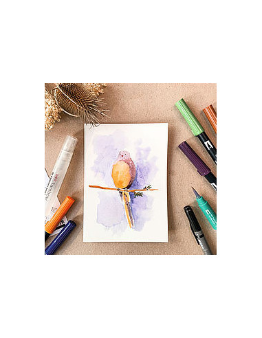 SET WATERCOLORING NATURE TOMBOW WCS-NAT