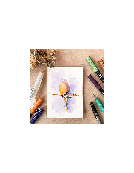 SET WATERCOLORING NATURE TOMBOW WCS-NAT