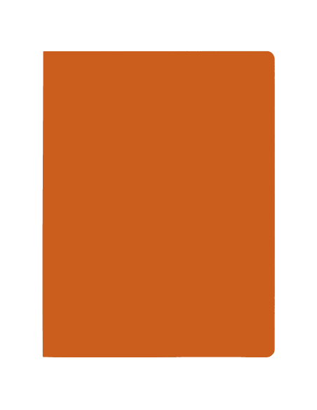 SUBCARPETA SIMPLES INTENSAS 250 GRS FOLIO COLOR NARANJA GIO 400040653 SUBCARPETA SIMPLES INTENSAS 250 GRS FOLIO COLOR NARANJA GIO 400040653
