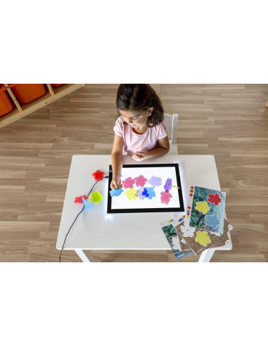 TRANSLUCENT MATH TURTLES MINILAND 32161