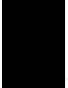 CAJA DE 100 CUBIERTAS POLIPROPILENO FORMATO A4 DE 300 MICRAS COLOR NEGRO GBC IB386831