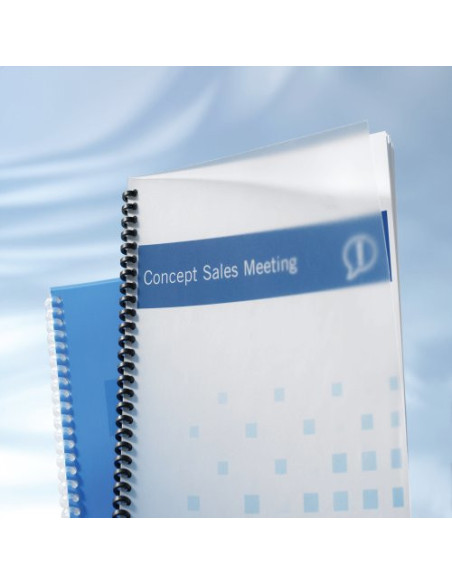 TAPA ENCUADERNACIÓN POLIPROPILENO FORMATO A4 DE 300 MICRAS TRANSLÚCIDO  CAJA DE 100