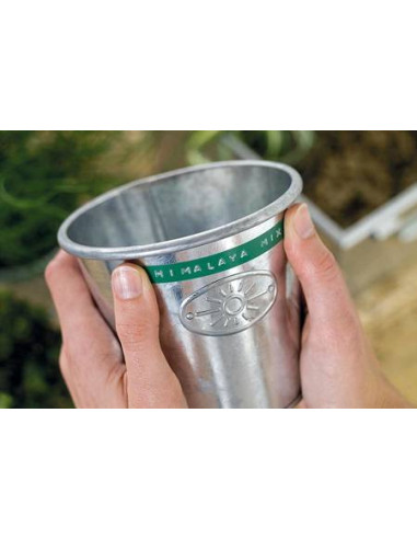 CINTA DYMO EMBOSSER 3M X 9 MM VERDE DYMO 520105