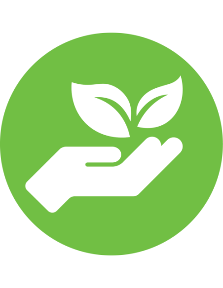 ROTULADORA RHINO 6000+ DYMO 2122966