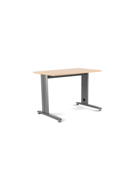 MESA DE OFICINA SERIE METAL 120X60 GRIS / HAYA ROCADA 2000AC01 MESA DE OFICINA SERIE METAL 120X60 GRIS / HAYA ROCADA 2000AC01