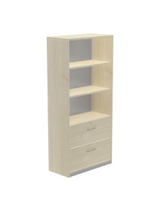 ARMARIO ALTO CARPETERO 195X90X45 ESTRUCTURA HAYA/FRONTALES HAYA ROCADA 1102AA01V24