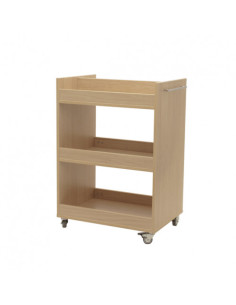 CARRO TRANSPORTADOR HAYA MOBEDUC 602115HP18