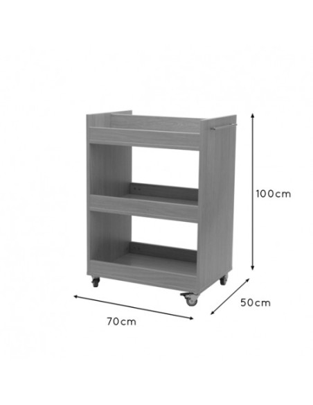 CARRO TRANSPORTADOR HAYA MOBEDUC 602115HP18