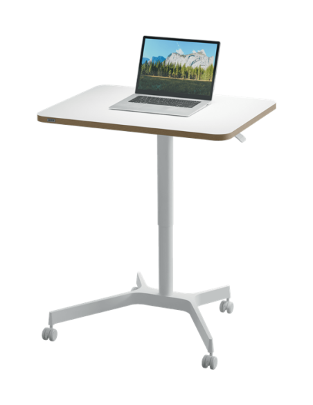 MESA ELEVABLE NEUMÁTICA PEQUEÑA LEITZ ERGO LEITZ 65360001