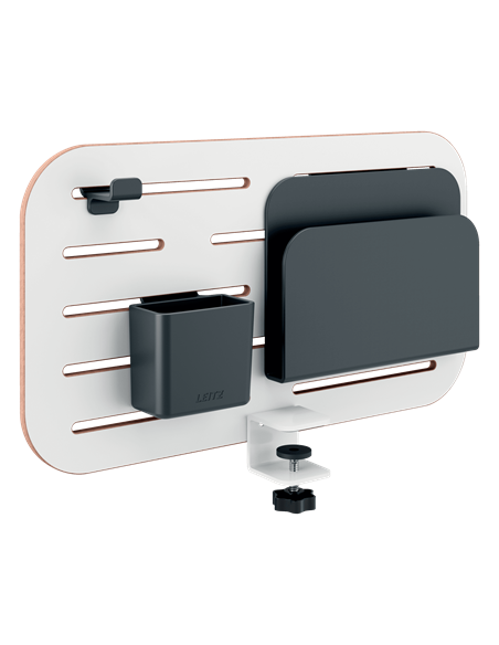 ORGANIZADOR DE PANEL DE ANCLAJE PEQUEÑO LEITZ 65480000