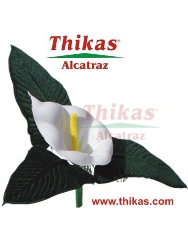 SET 2 THIKAS (MOLDES TERMOFORMADO) ALCATRAZ (CALA)