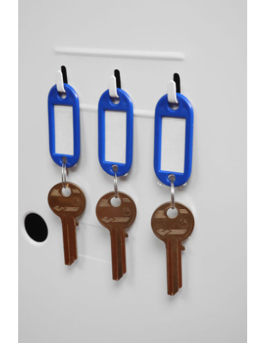 CAJA IGNÍFUGA FIRE FIGHTER 720MM X 500MM X...