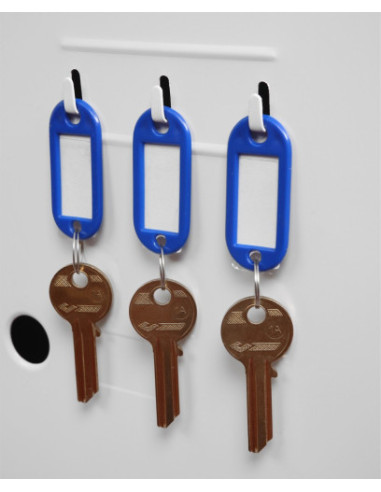 CAJA IGNÍFUGA FIRE FIGHTER 720MM X 500MM X...