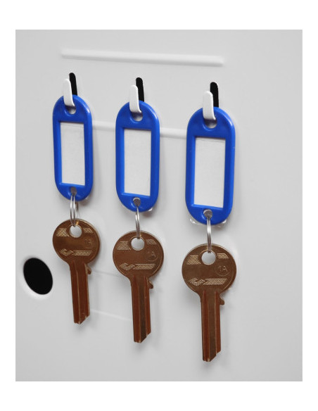 CAJA IGNÍFUGA FIRE FIGHTER 720MM X 500MM X 500MM PHOENIX SAFE FS0441E