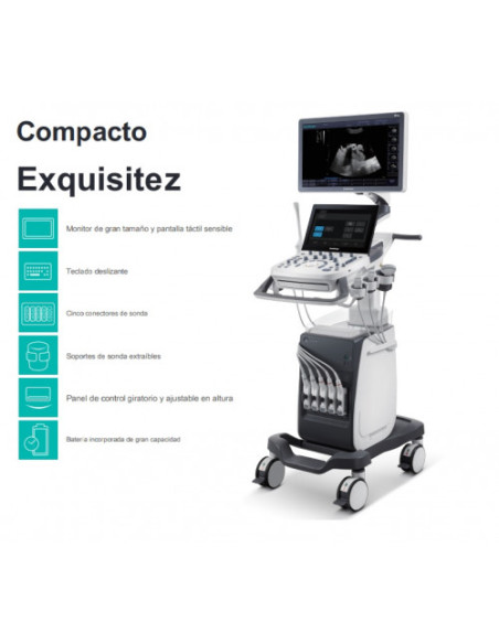 SONOSCAPE ECOGRAFO P10 C-FIELD BEAM