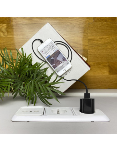 NANOCABLE MINI CARGADOR USB, 5V/1A, NEGRO -...