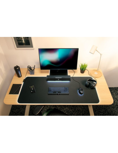 BARRA DE SONIDO RAZER LEVIATHAN V2 X (RZ05-04280100-R3M1)