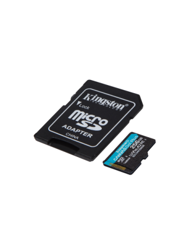 KINGSTON 256GB MICROSDXC CANVA