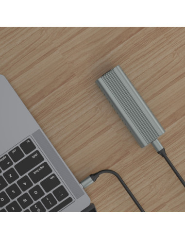 EWENT CARCASA PORTÁTIL PARA UNIDAD PCIE...