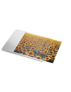 ALFOMBRILLA PERSONALIZABLE DATALINE PARA RATON ESSELTE 67691