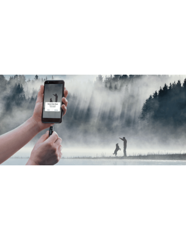 SANDISK ULTRA DUAL DRIVE GO USB TYPE-C FLASH...