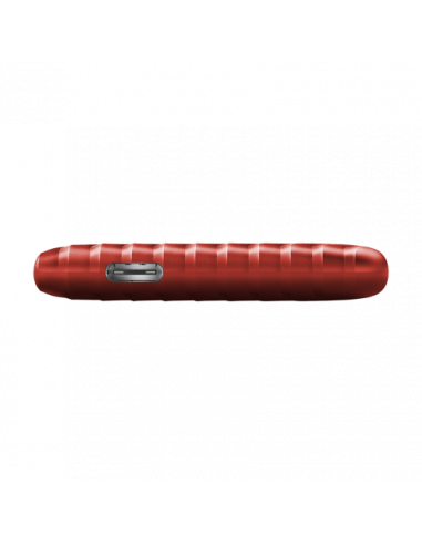 SANDISK MY PASSPORT TM SSD 500GB, RED, 1050MB/S...