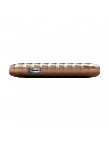 SANDISK MY PASSPORT TM SSD 500GB, GOLD,...