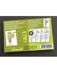chameleon color cards  FLOWERS CC0102 2