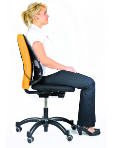 RESPALDO LUMBAR MESH PROFESS FELLOWES 8029901 2