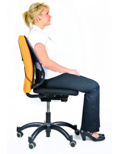 RESPALDO LUMBAR MESH PROFESS FELLOWES 8029901