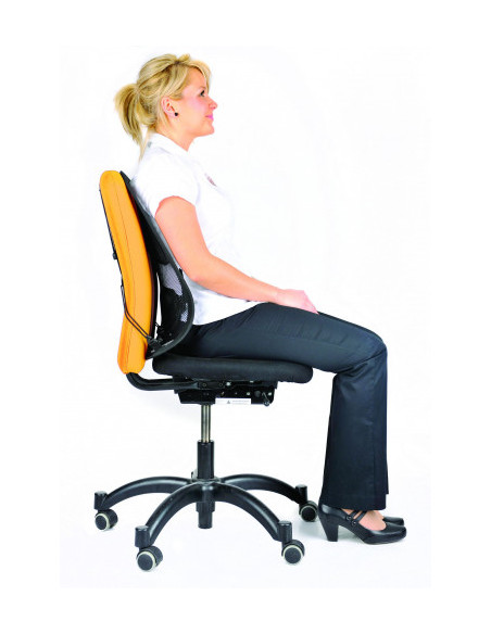 RESPALDO LUMBAR MESH PROFESS FELLOWES 8029901