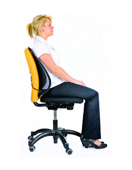 RESPALDO LUMBAR MESH OFFICE FELLOWES 9191301