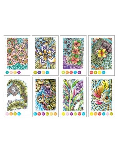 chameleon color cards  Zen CC0103
