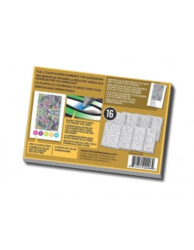 chameleon color cards  MIRROR IMAGES CC0106