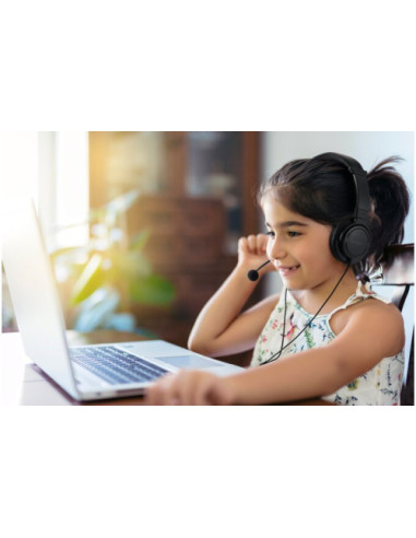 AURICULARES HI-FI USB CON MICROFONO Y CONTROL...