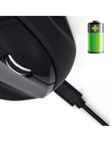 EWENT RATON VERTICAL ERGONÓMICO INALAMBRICO....