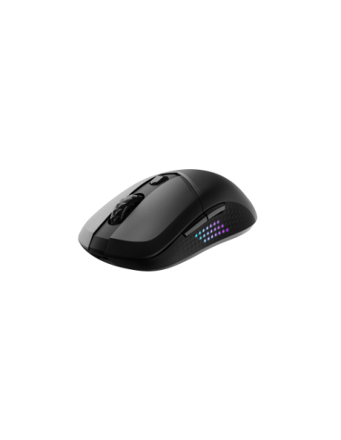 RATON MSI VERSA 300 ELITE WIRELESS