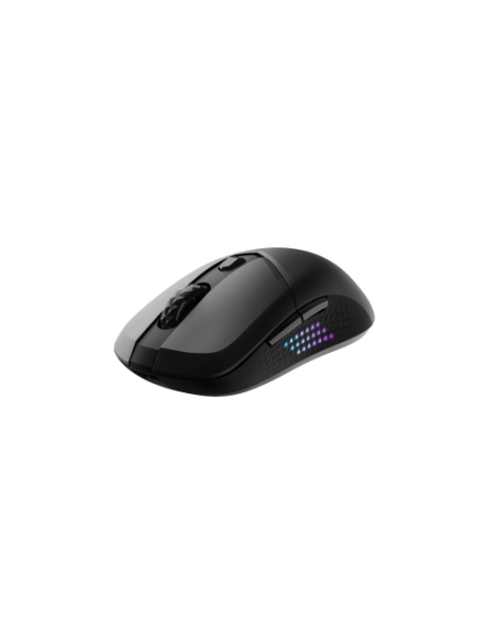 RATON MSI VERSA 300 ELITE WIRELESS