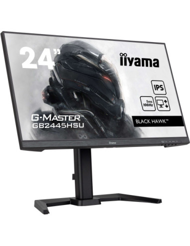 1MS
