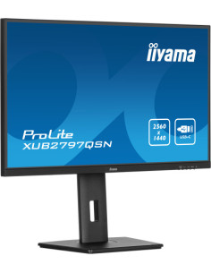 MONITOR IIYAMA IPS 2