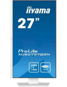 MONITOR IIYAMA IPS 2
