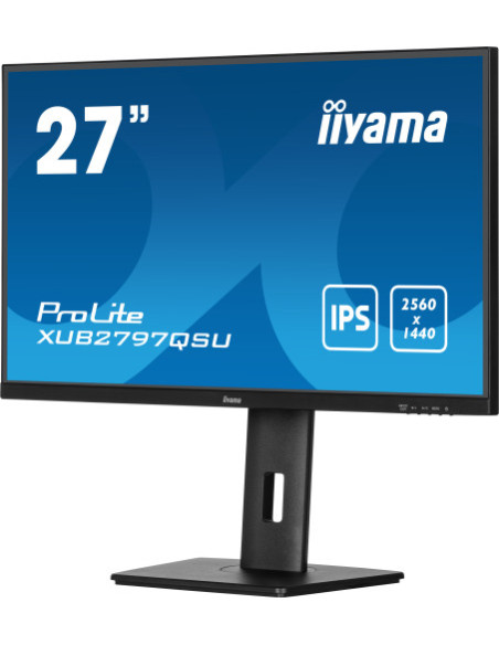 MONITOR IIYAMA IPS. 1H 1DP, 2X3.2, 100HZ, 300CD